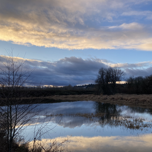 Photo: blue sky with pale yellow clouds
