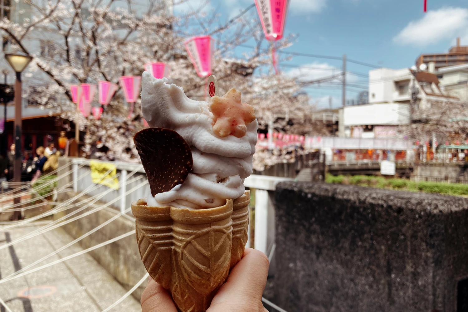 pale pink soft serve in a wafer cone, decorated with chocolate bits; cherry blossom trees bloom nearby