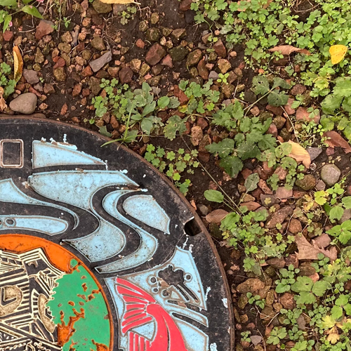 sapporo (manhole cover with a fish tail)