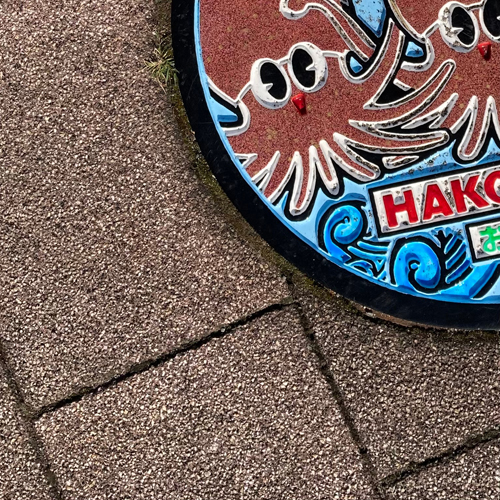 hakodate (manhole cover with a cartoon squid)